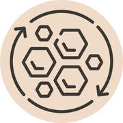 Skin regeneration