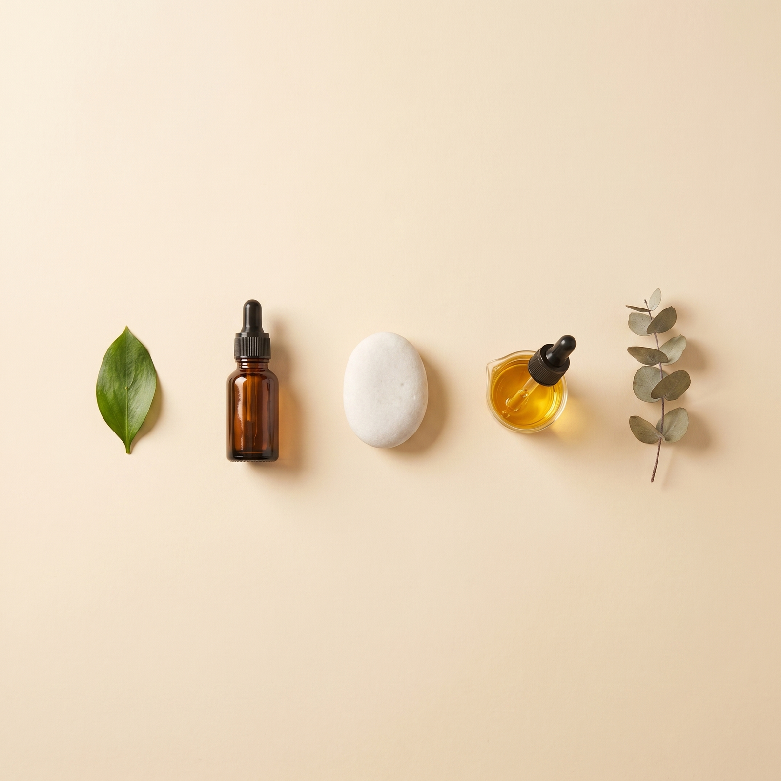 Bee Cream, Bee Venom Ointment & 8 Herbal Extracts